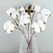 Load image into Gallery viewer, Naturally Dried Cotton Flowers