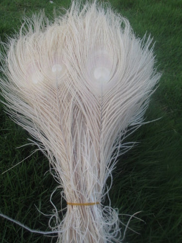 White Peacock Feather Decor