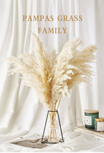 Load image into Gallery viewer, Pampas Grass Decor White Fluffy Natural 10pc