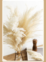 Load image into Gallery viewer, Pampas Grass Decor White Fluffy Natural 10pc